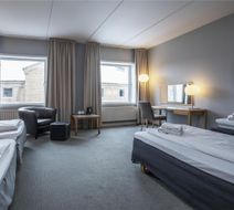 Hoje Taastrup Hotel Copenhagen West Room