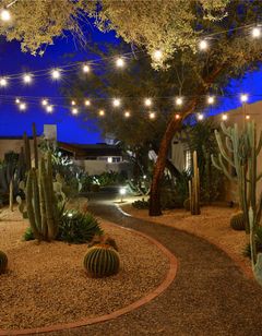 Lodge on the Desert