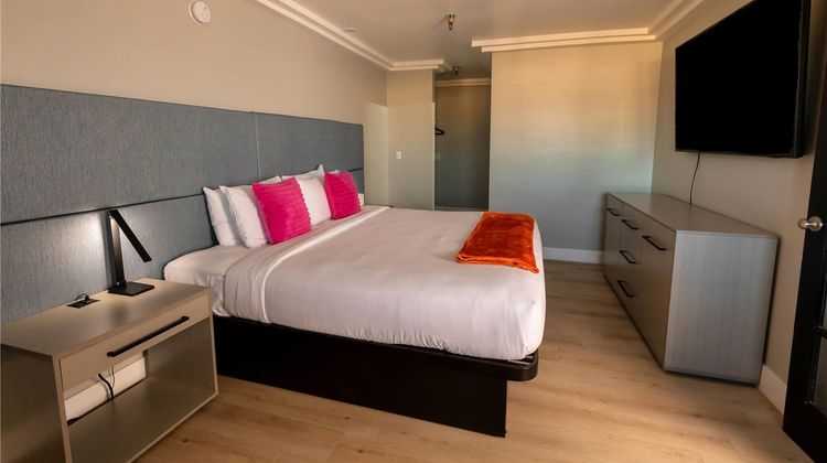 The Lexi Las Vegas Room