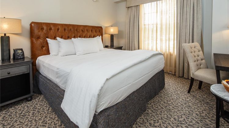 Tidewater Inn Room