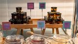 Ibis Styles Larnaca Finikoudes Beach Restaurant