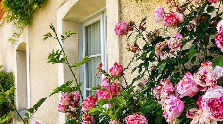 Domaine de l'Orangerie Exterior