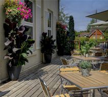 Forest Lodge Hotel Exterior