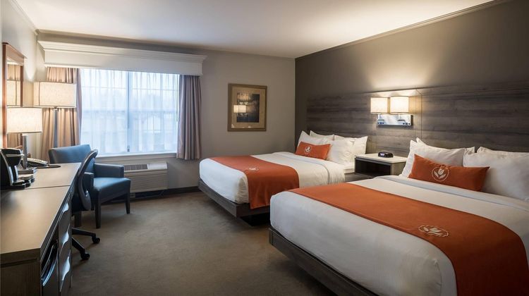 Amsterdam Inn Sussex Room