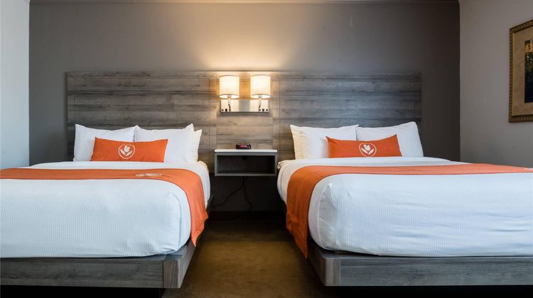 Amsterdam Inn Sussex Room