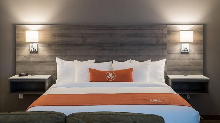 Amsterdam Inn Sussex Suite