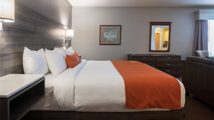 Amsterdam Inn Sussex Suite