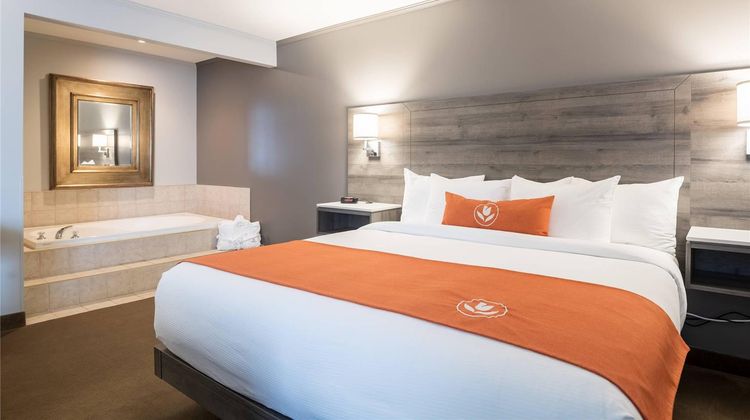 Amsterdam Inn Sussex Suite