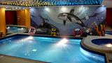 Al Waha Palace Hotel Pool