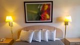 <b>Americas Best Value Inn Eloy Room</b>. Images powered by <a href="https://iceportal.shijigroup.com/" title="IcePortal" target="_blank">IcePortal</a>.