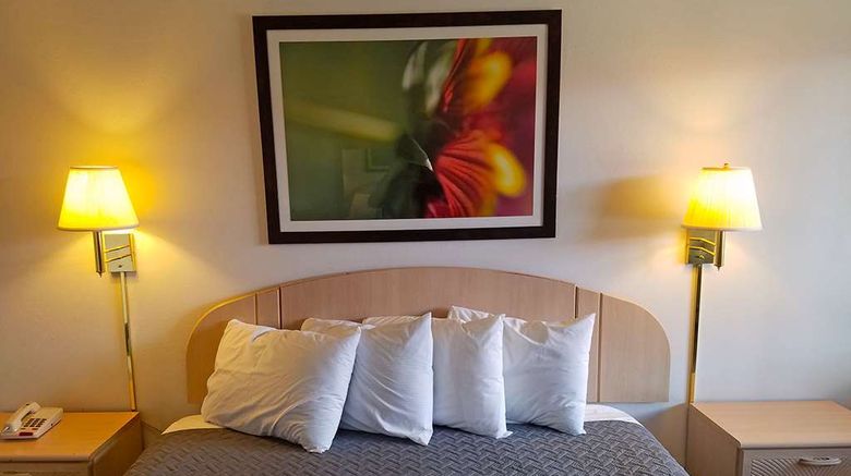 <b>Americas Best Value Inn Eloy Room</b>. Images powered by <a href="https://iceportal.shijigroup.com/" title="IcePortal" target="_blank">IcePortal</a>.