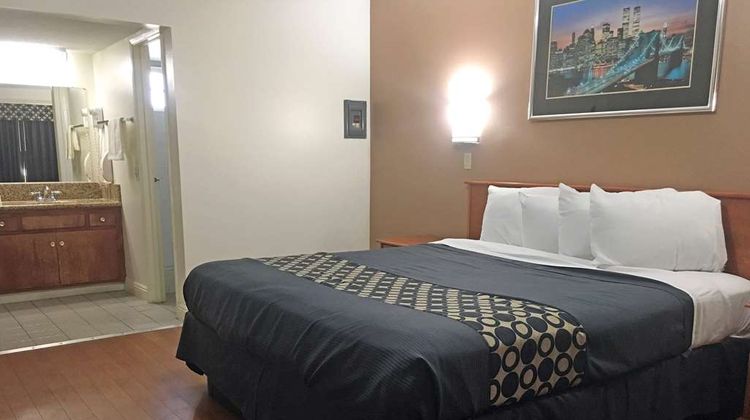 Americas Best Value Inn Room