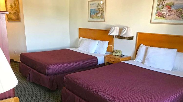 OYO Hotel Dunnigan I-5 West Room