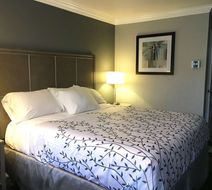 Americas Best Value Inn Room