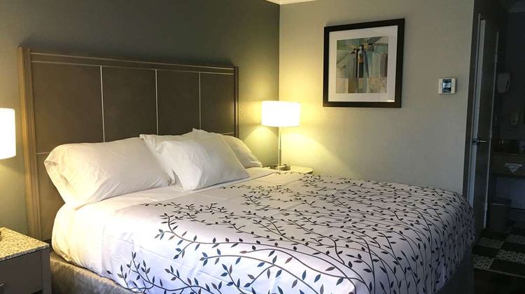 Americas Best Value Inn Room