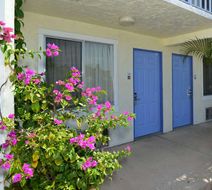 Americas Best Value Inn Bradenton Exterior