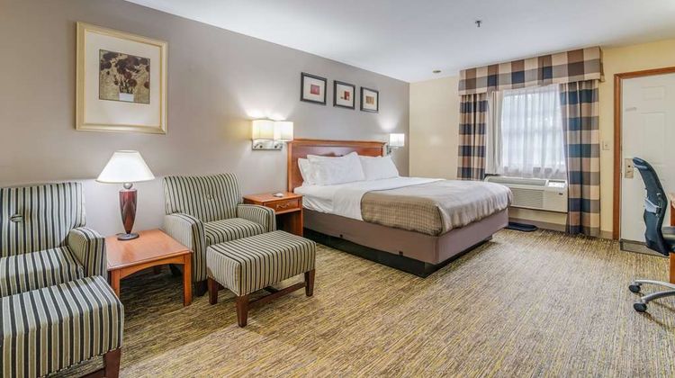 Americas Best Value Inn Room