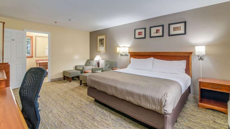 Americas Best Value Inn Room