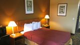 Americas Best Value Inn Livonia/Detroit Room