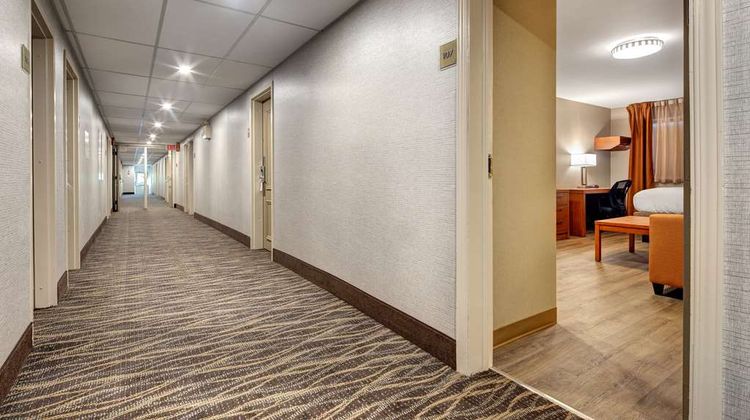 Canadas Best Value Inn-Richmond Hill Other