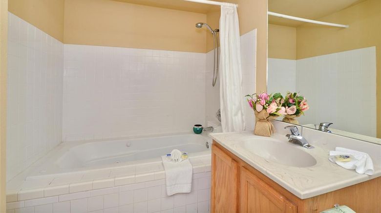 <b>Americas Best Value Inn Seattle-Tacoma Room</b>. Images powered by <a href="https://iceportal.shijigroup.com/" title="IcePortal" target="_blank">IcePortal</a>.