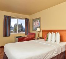 Americas Best Value Inn Seattle-Tacoma Room