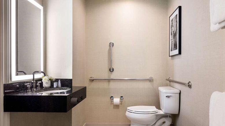 <b>The Shelburne Sonesta New York Room</b>. Images powered by <a href="https://iceportal.shijigroup.com/" title="IcePortal" target="_blank">IcePortal</a>.