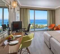 Atrium Platinum Spa & Convention Resort Room