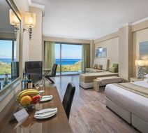 Atrium Platinum Spa & Convention Resort Room