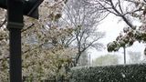 Arrowtown House Boutique Hotel Other