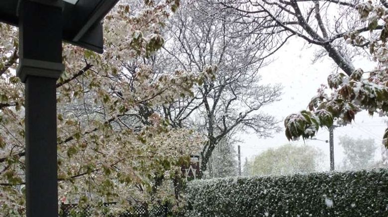 <b>Arrowtown House Boutique Hotel Other</b>. Images powered by <a href="https://iceportal.shijigroup.com/" title="IcePortal" target="_blank">IcePortal</a>.