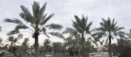 Royal Tulip Al Rasheed Baghdad Exterior