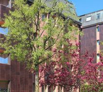 Tulip Inn Lausanne-Beaulieu Exterior