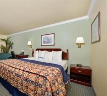 Americas Best Value Inn Hobby Arpt Room