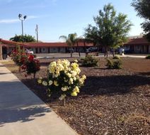 Americas Best Value Inn, Porterville Exterior