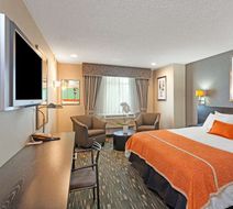 Ramada Plaza West Hollywood Hotel/Suites Room