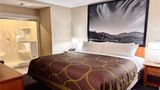 <b>Super 8 Castlegar Room</b>. Images powered by <a href="https://iceportal.shijigroup.com/" title="IcePortal" target="_blank">IcePortal</a>.