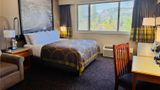 <b>Super 8 Castlegar Room</b>. Images powered by <a href="https://iceportal.shijigroup.com/" title="IcePortal" target="_blank">IcePortal</a>.