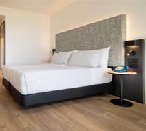 Hotel San Sebastian Orly, Aff by Melia Room