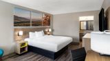 <b>Days Inn Greeneville Room</b>. Images powered by <a href="https://iceportal.shijigroup.com/" title="IcePortal" target="_blank">IcePortal</a>.