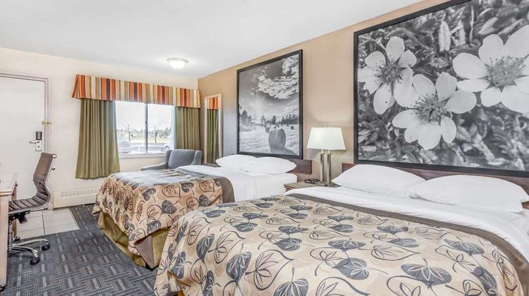 Super 8 Stettler Room
