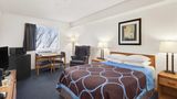 <b>Super 8 Swift Current Room</b>. Images powered by <a href="https://iceportal.shijigroup.com/" title="IcePortal" target="_blank">IcePortal</a>.