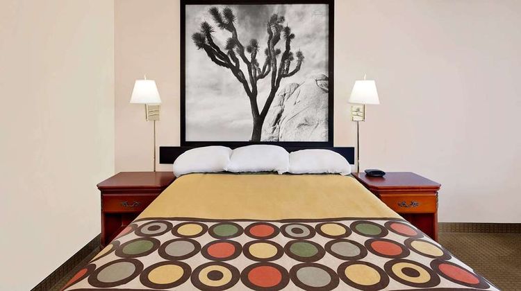 Super 8 Joshua Tree Natl Park Area Room