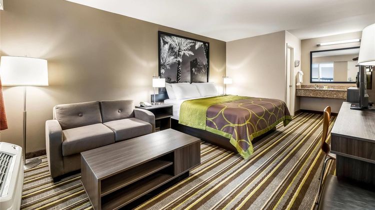 Super 8 Riviera Beach West Palm Beach Room