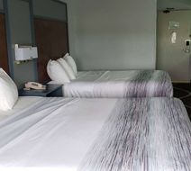 AmericInn by Wyndham Mauston Room