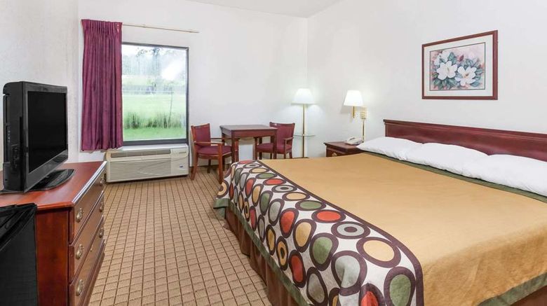 <b>Super 8 Conway Room</b>. Images powered by <a href="https://iceportal.shijigroup.com/" title="IcePortal" target="_blank">IcePortal</a>.