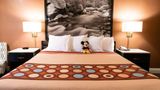 Super 8 Anaheim/Disneyland Drive Room