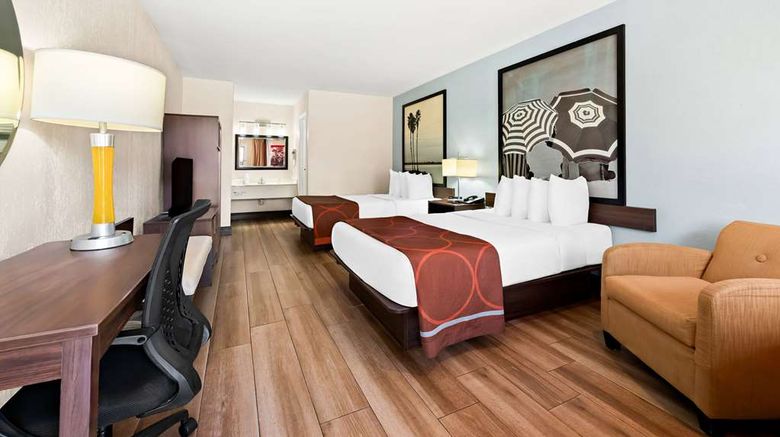 <b>Super 8 Florida City/Homestead Room</b>. Images powered by <a href="https://iceportal.shijigroup.com/" title="IcePortal" target="_blank">IcePortal</a>.