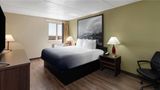 Super 8 Garden of the Gods Room