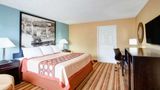 Super 8 Whites Creek/ Nashville NW Area Room